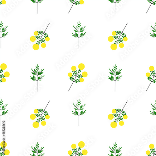 A pattern of vector mimosas. Spring flowers. Mimosa.
