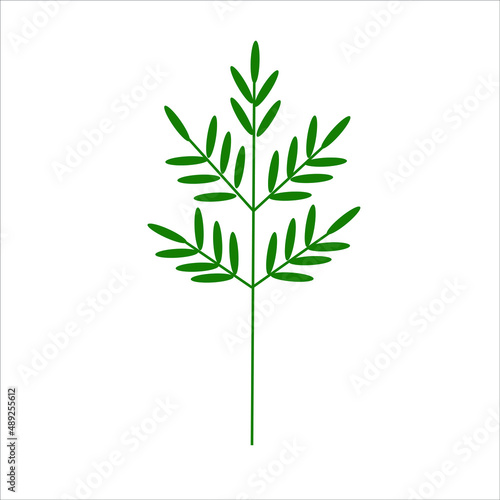 One twig vector, spring flower.