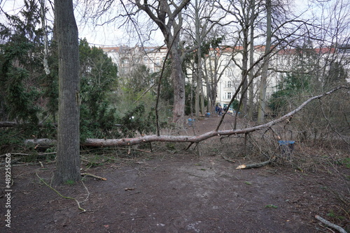 Berlin Zeynep hurricane  photo