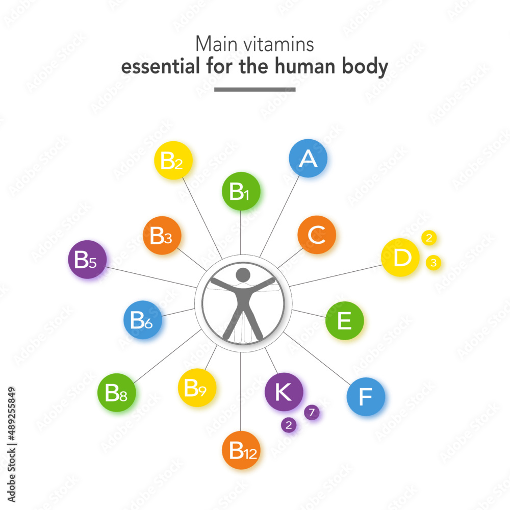 Main vitamins essentials for the human body Main vitamins essentials for the human body