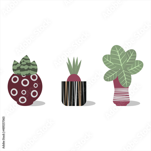 A set of indoor plants in handfuls. Vector flat illustration