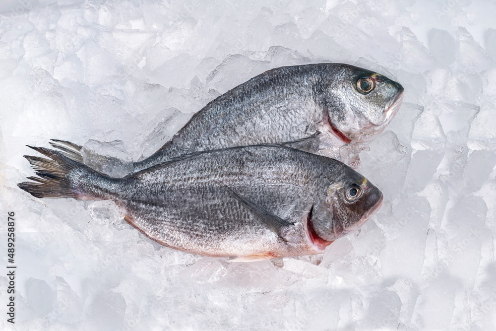 Gilt-head bream fresh raw fish dorada without scales and gills, ready for cooking. Picture of dorade for the fish seafood market menu Gilt-head bream fresh raw fish dorada without scales and gills, ready for cooking. Picture of dorade for the fish seafood market menu