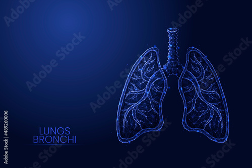 Human lungs with trachea and bronchi low poly concept vector illustration.