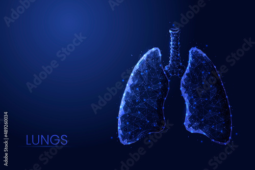 Human lungs and trachea low poly concept vector illustration.