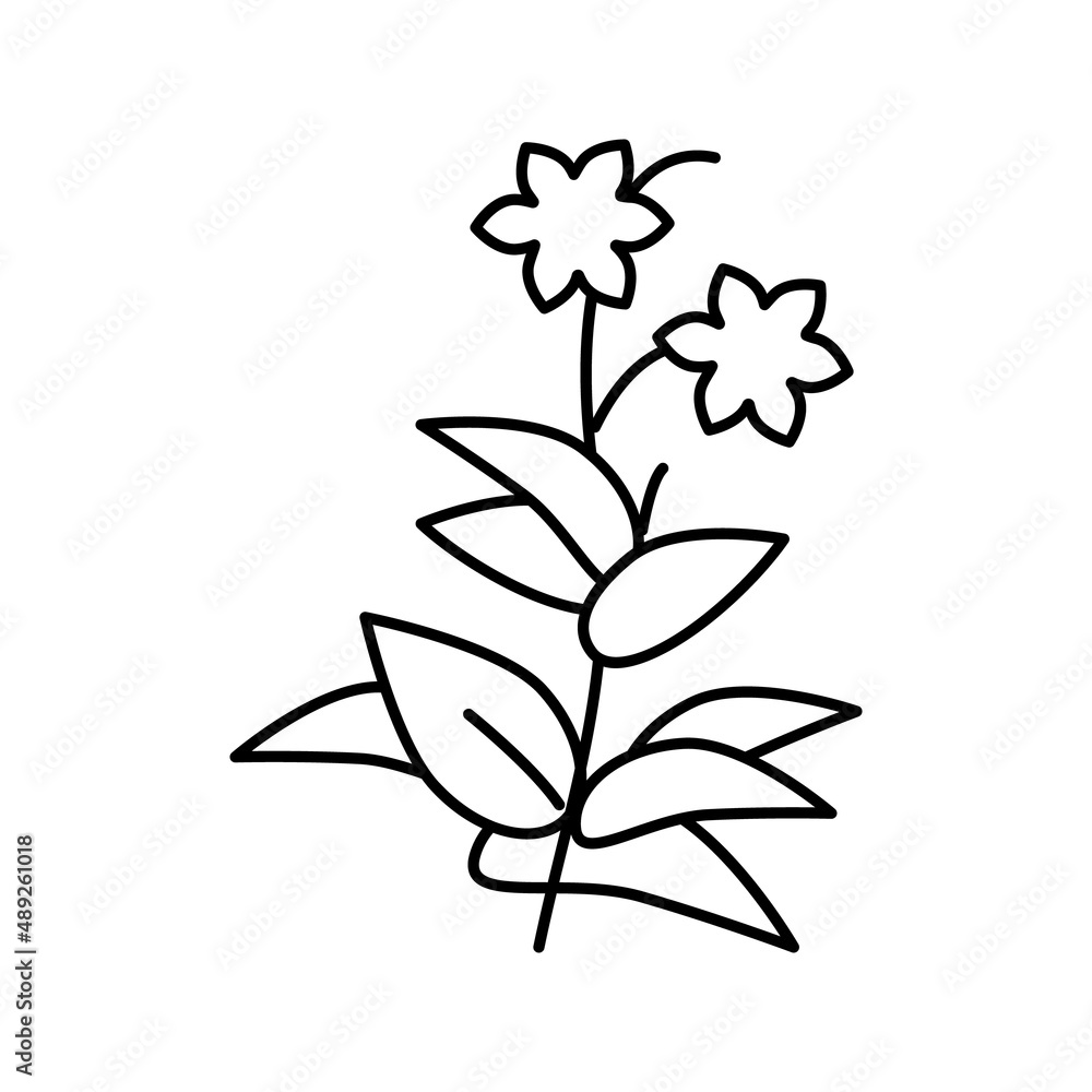 flower plant phytotherapy line icon vector illustration flower plant phytotherapy line icon vector illustration