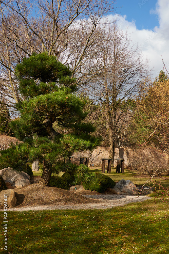 Prague, Czech Republic - February 12, 2022 - The Botanical Garden - the Japanese Garden in the sunny winter afternoon Prague, Czech Republic - February 12, 2022 - The Botanical Garden - the Japanese Garden in the sunny winter afternoon