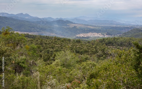 Plantation fields and mountains near Marça, Spain photo