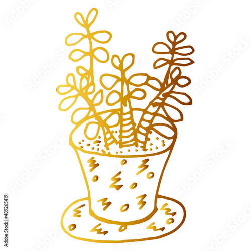 Hand drawn  succulent outline icon in doodle style. Vector liner illustration for print  web  mobile and infographics isolated on white background.  