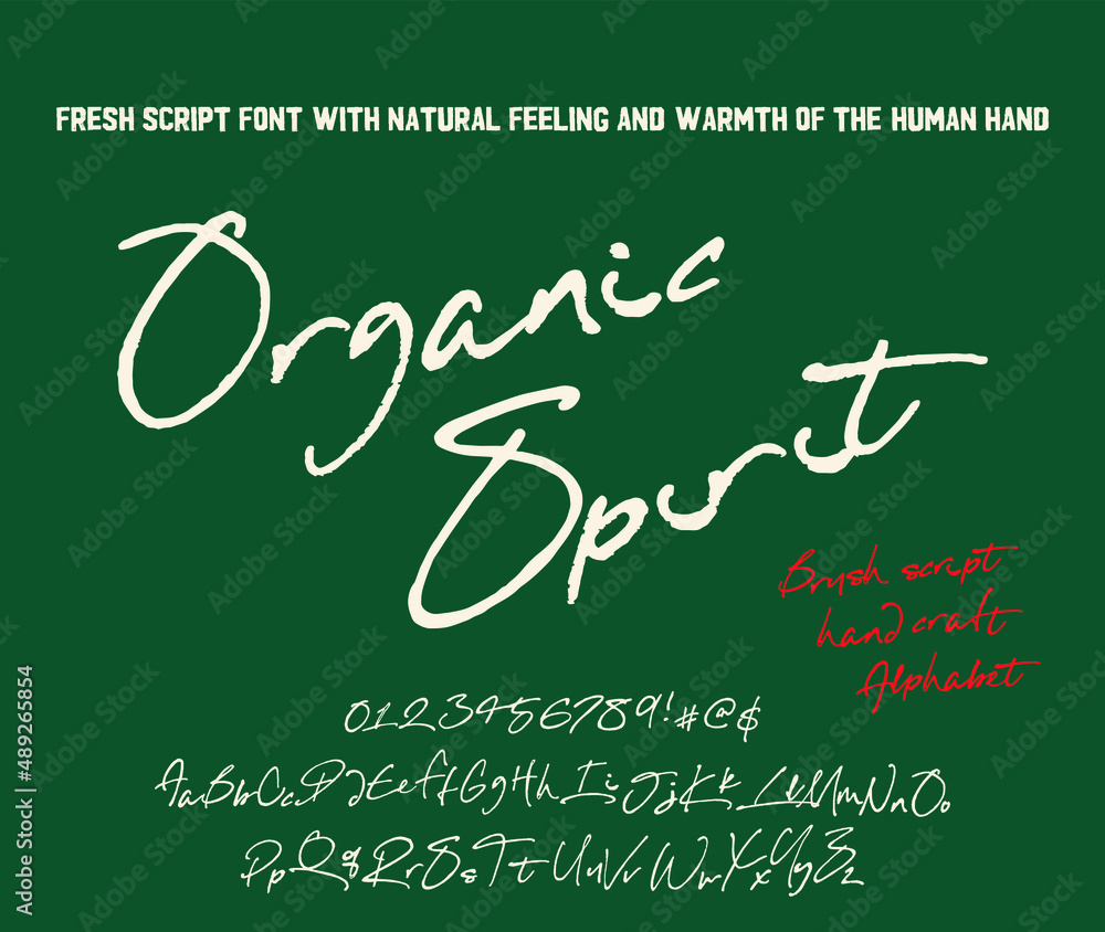 Vintage brush script lettering font. Handwritten alphabet. Stock Vector