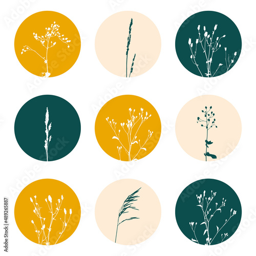 Set of story highlights covers with herbs for organic natural blogs and social networks design