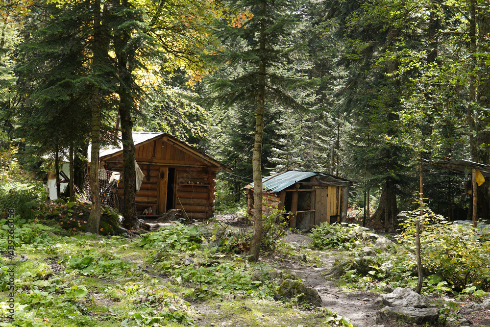 Tourist wooden houses in the forest. Panoramic view of the campsites in the summer forest. Adventure travel, active lifestyle. Tourist wooden houses in the forest. Panoramic view of the campsites in the summer forest. Adventure travel, active lifestyle.
