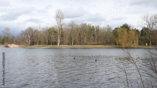 Autumn bad weather on a lake in germany, ducks in a park on a lake