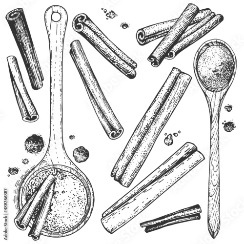 Collection of sketchy hand-drawn cinnamon. Monochrome illustrations of engraving style. A set of isolated objects to create a design. Ground cinnamon in wooden spoons