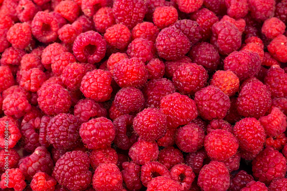 Raspberry. Ripe berry nature background. Raspberry. Ripe berry nature background.