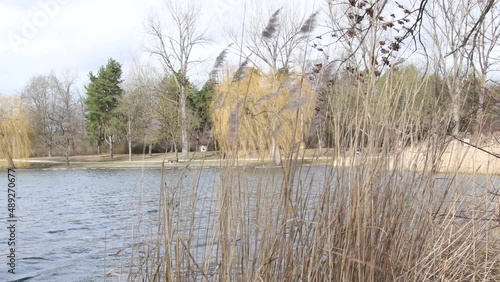 Autumn bad weather on a lake in germany, ducks in a park on a lake