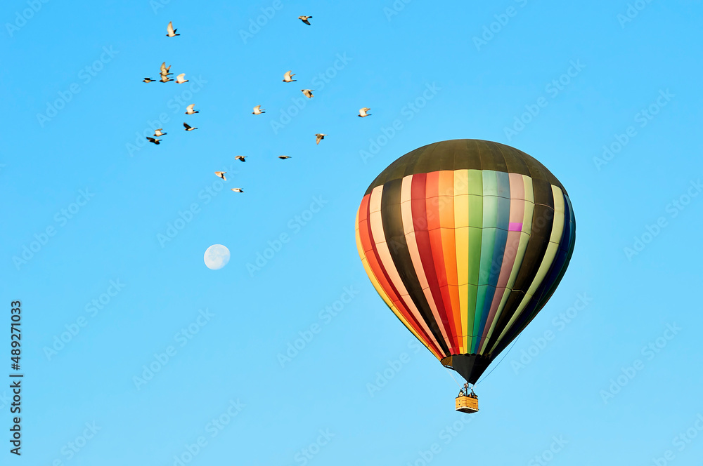 Fototapeta premium globo palomas