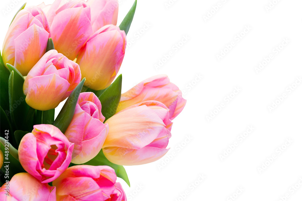 Spring flowers. Living coral tulip bouquet on the bokeh background.