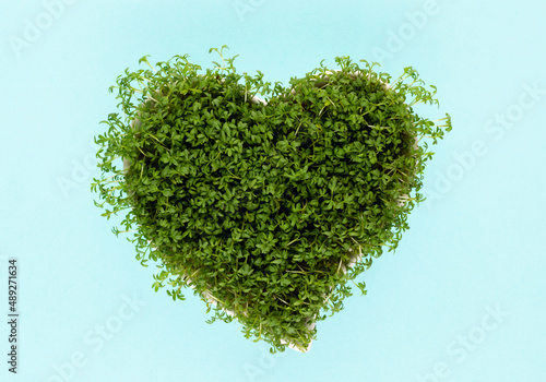 Creative layout made of sprout seed heart bowl. Flat lay, top view. Food ingredient pattern.