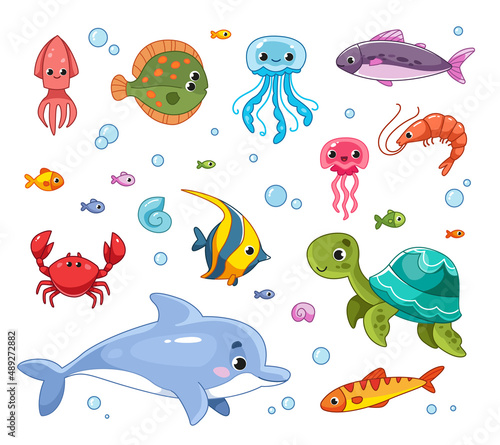 Vector cartoon set of fish, marine animals, turtle, flounder, jellyfish, shrimp, dolphin. Cute illustration for kids. Clipart collection, isolate on white background.