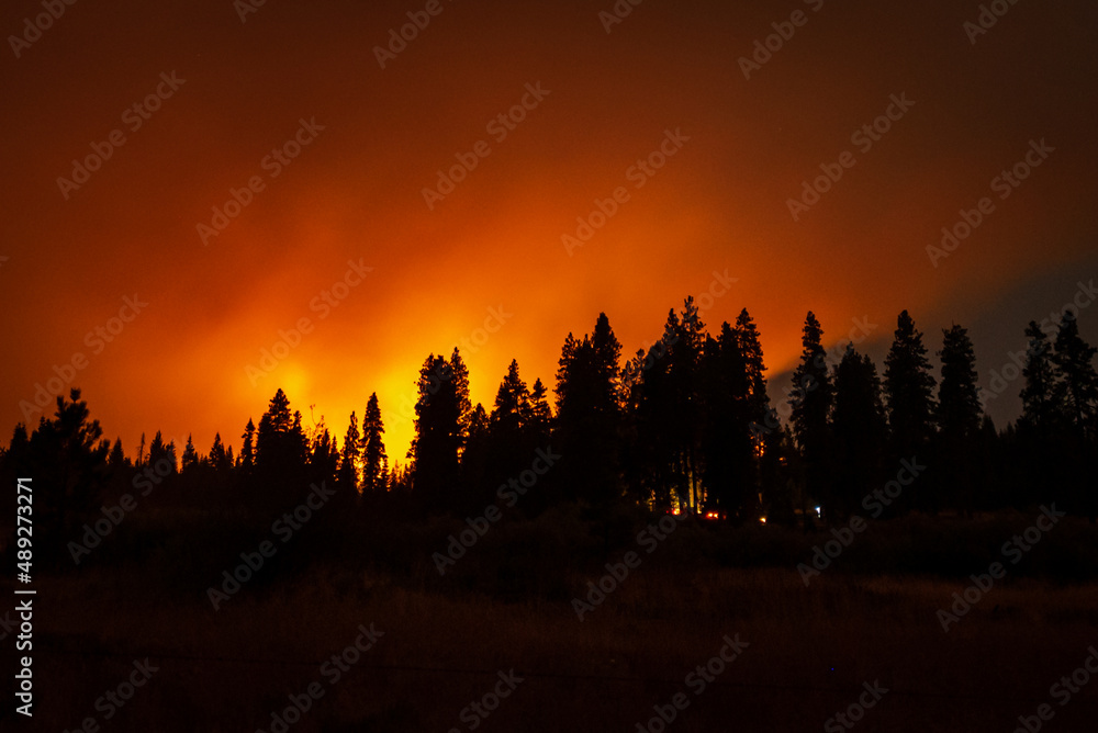 Oregon mountain wildfire burning in pine forest Oregon mountain wildfire burning in pine forest