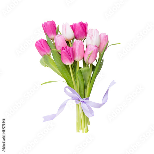 Fototapeta Naklejka Na Ścianę i Meble -  Pink tulip on the white background. Easter background