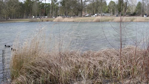 windy  weather in a lake park in germany, bavaria