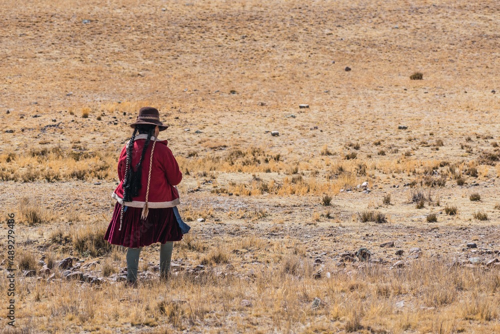 mujer vestida de rojo con sombrero hilando fibra de alpaca en rueca y caminando en los andes en un dia soleado mujer vestida de rojo con sombrero hilando fibra de alpaca en rueca y caminando en los andes en un dia soleado