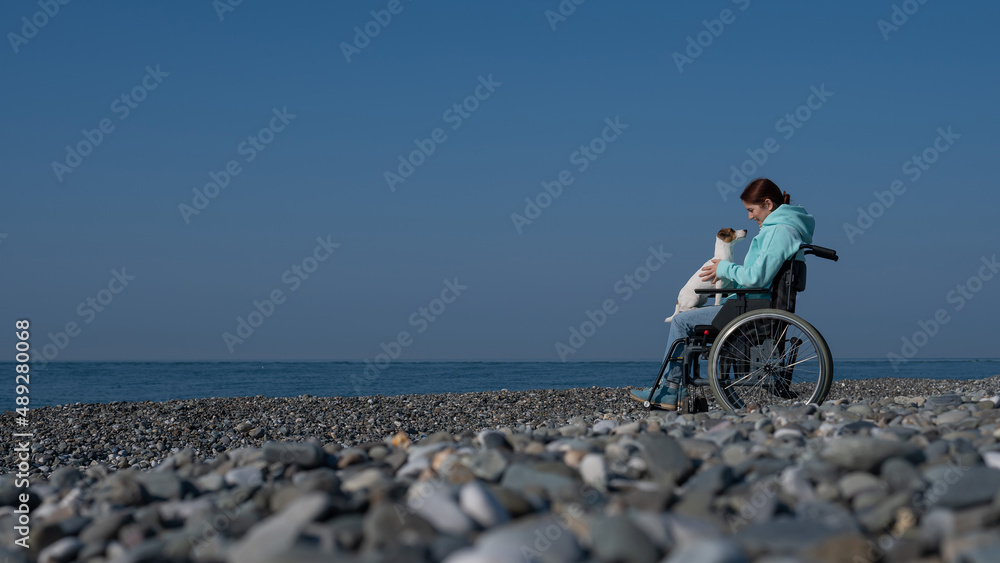 Fototapeta premium A serene Caucasian woman in a wheelchair is resting on the seashore with a jack russell terrier dog.