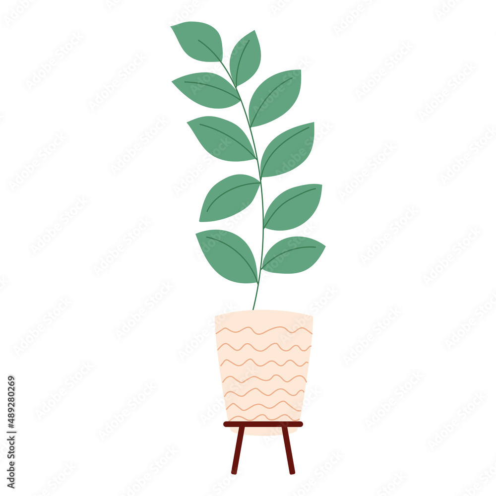 Isolated home plant Interior decoration Vector Isolated home plant Interior decoration Vector
