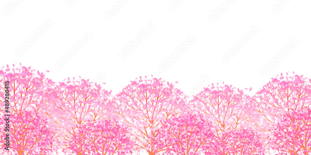 桜 春 花 背景 桜 春 花 背景