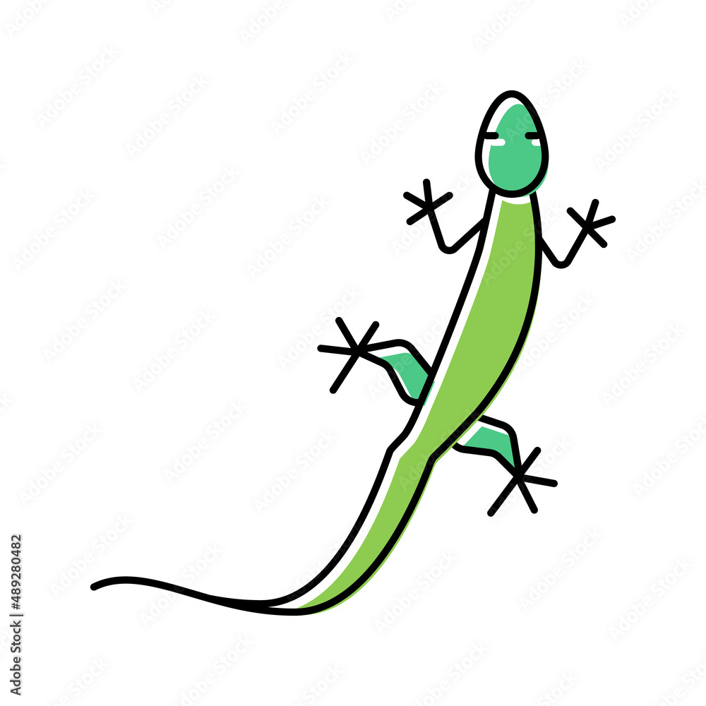 Fototapeta premium lizard wild animal color icon vector illustration