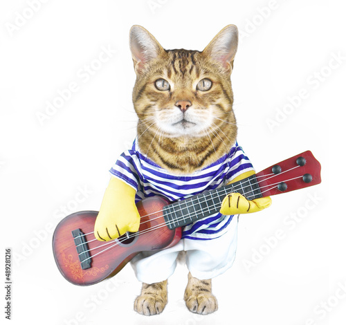 Funny Bengal cat dressed up in costume with a guitar on white background
