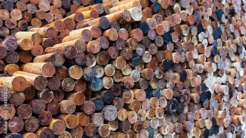 Stacking of round wood. Wet cut wood texture. Timber industry. Woodpile of light color core. Wood storage place. The structure of dry birch logs. Fuel materials for firewood.