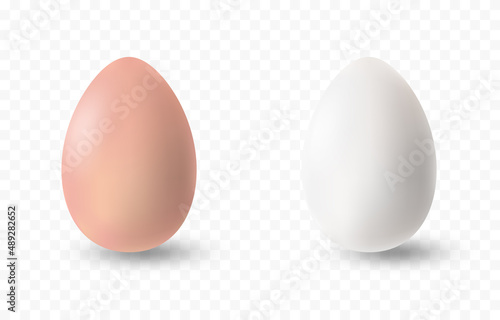 PNG vector eggs. Realistic white and brown egg on isolated transparent background. Easter, holiday.