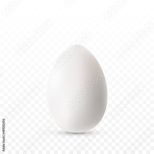 Canvas Print PNG vector egg
