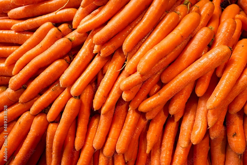 On the ground there are many carrots that have just been brought from the field. High quality photo On the ground there are many carrots that have just been brought from the field. High quality photo