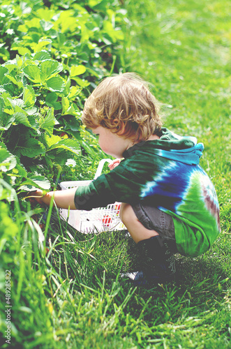 little child playing in the grass picking strawberries in tie dye shirt