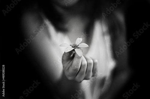 flower in hand