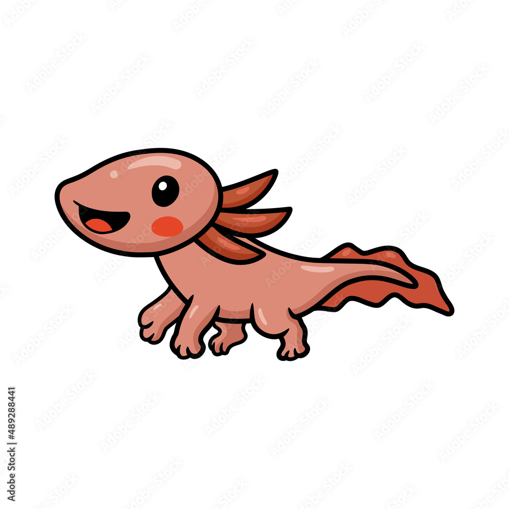 Obraz premium Cute axolotl cartoon vector illustration