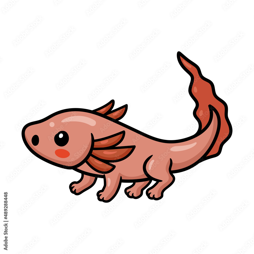 Cute axolotl cartoon vector illustration