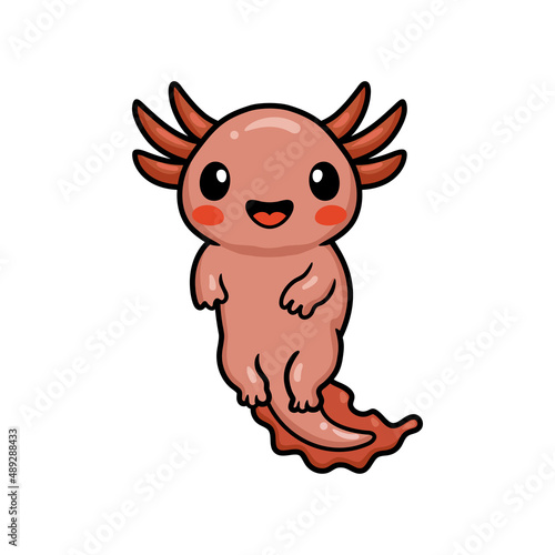 Cute axolotl cartoon vector illustration