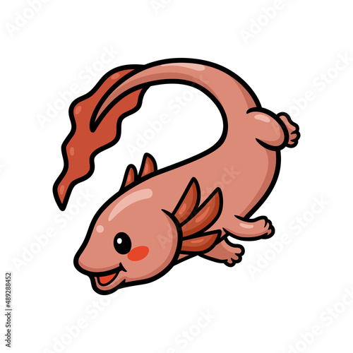 Cute axolotl cartoon swimming. Vector illustration