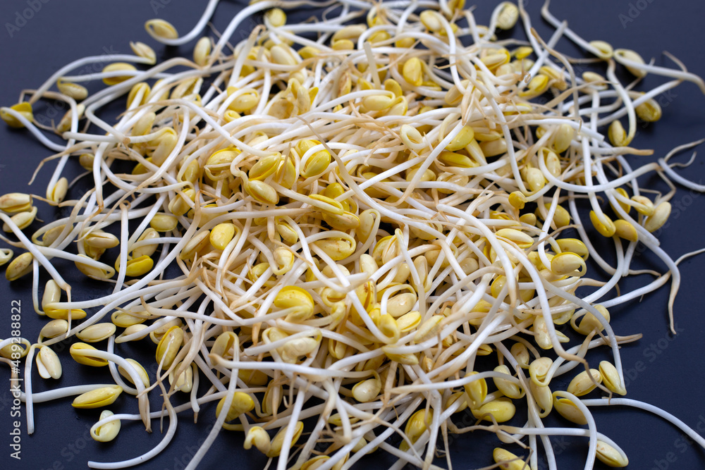 Fresh soybean sprouts for cooking.