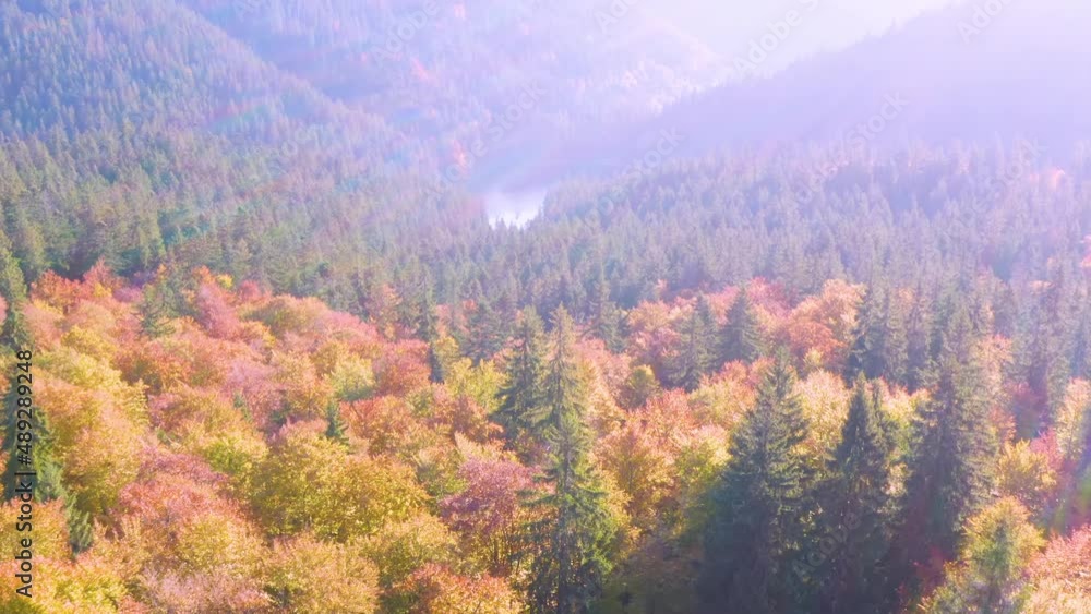 The famous Synevyr lake, a tourist attraction, in the Carpathians, Ukraine, autumn beech and coniferous forest, beautiful mountain landscape. Aerial view drone copter The famous Synevyr lake, a tourist attraction, in the Carpathians, Ukraine, autumn beech and coniferous forest, beautiful mountain landscape. Aerial view drone copter