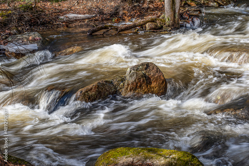 the flow motion of willard brook