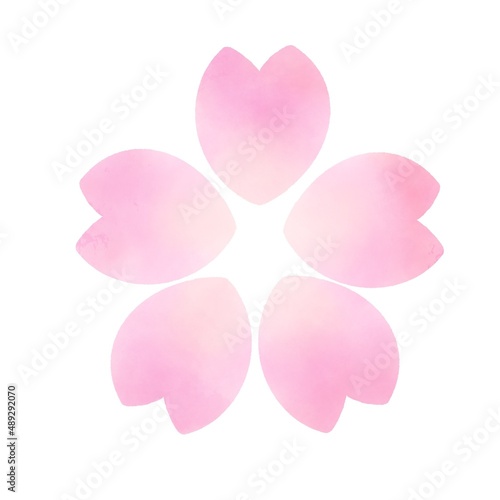 pink rose petals