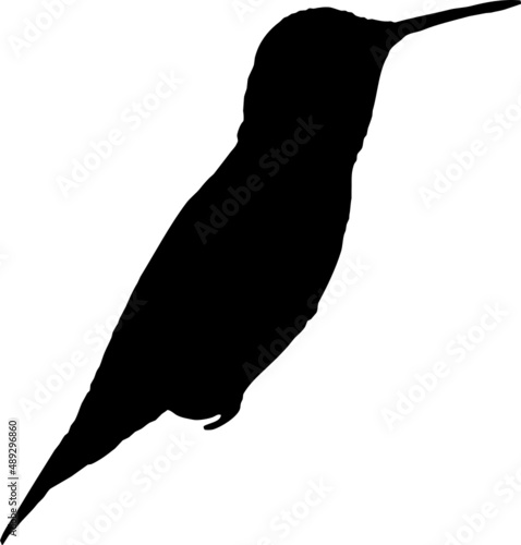 Silhouette de colibri en vol, fond transparent 