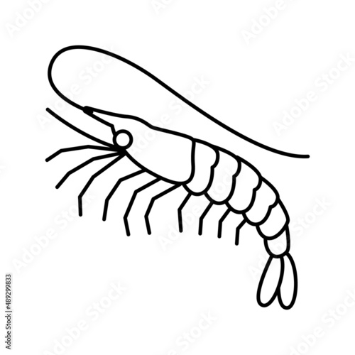white leg shrimp line icon vector illustration
