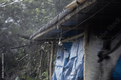 Old shelter in forest in rainy day photo