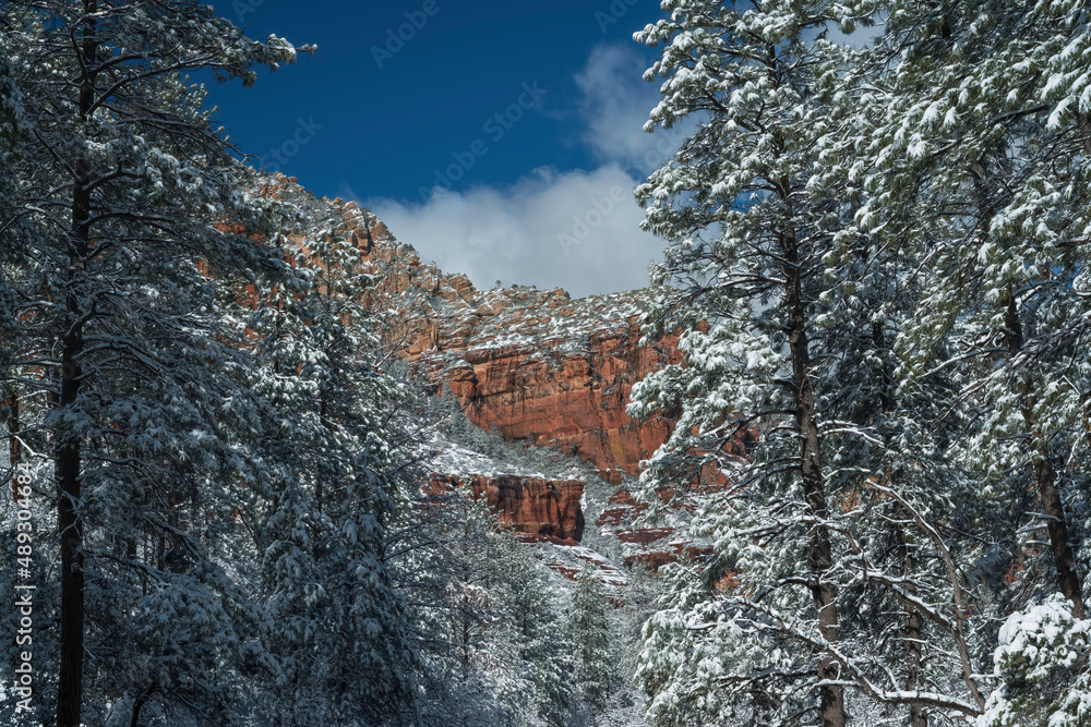 Snowbound Sedona Arizona USA